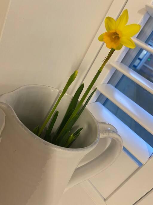 Unrivalled Location - Five Star - Worcester Apartment Eksteriør billede